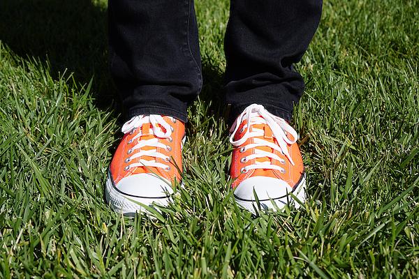Sneakers, Orange, Laces, White